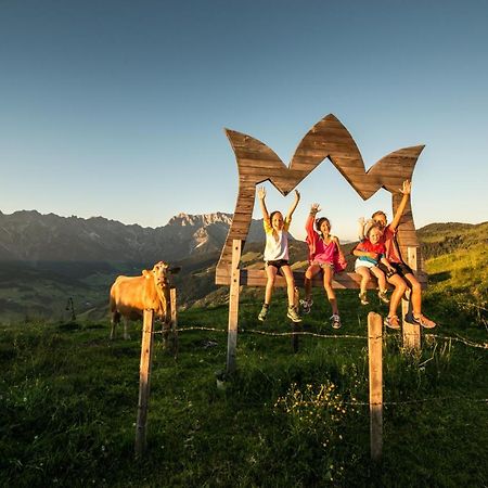 霍克尼希阿尔卑斯公园酒店及公寓 Mühlbach am Hochkönig 外观 照片