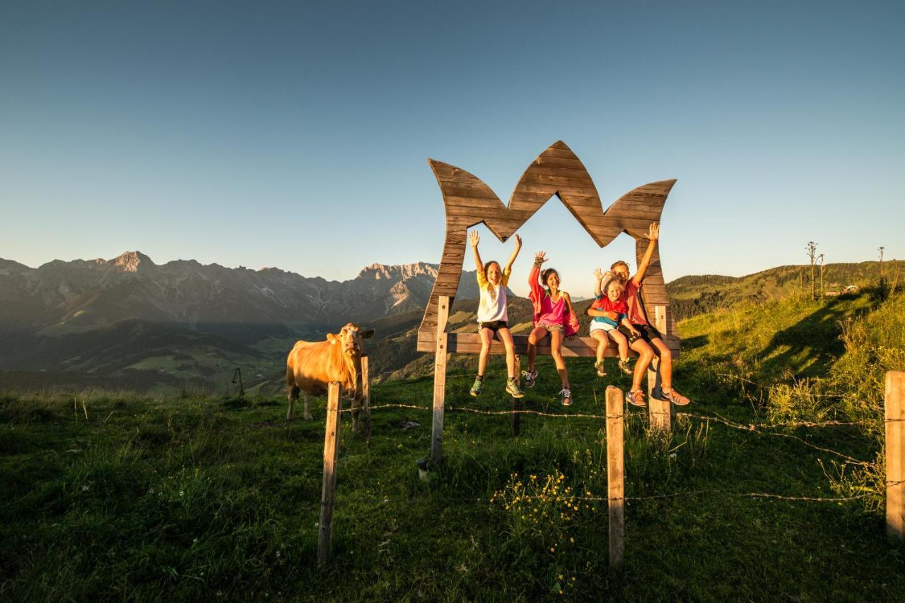 霍克尼希阿尔卑斯公园酒店及公寓 Mühlbach am Hochkönig 外观 照片