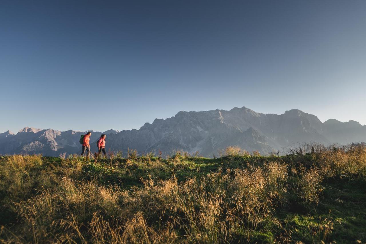 霍克尼希阿尔卑斯公园酒店及公寓 Mühlbach am Hochkönig 外观 照片