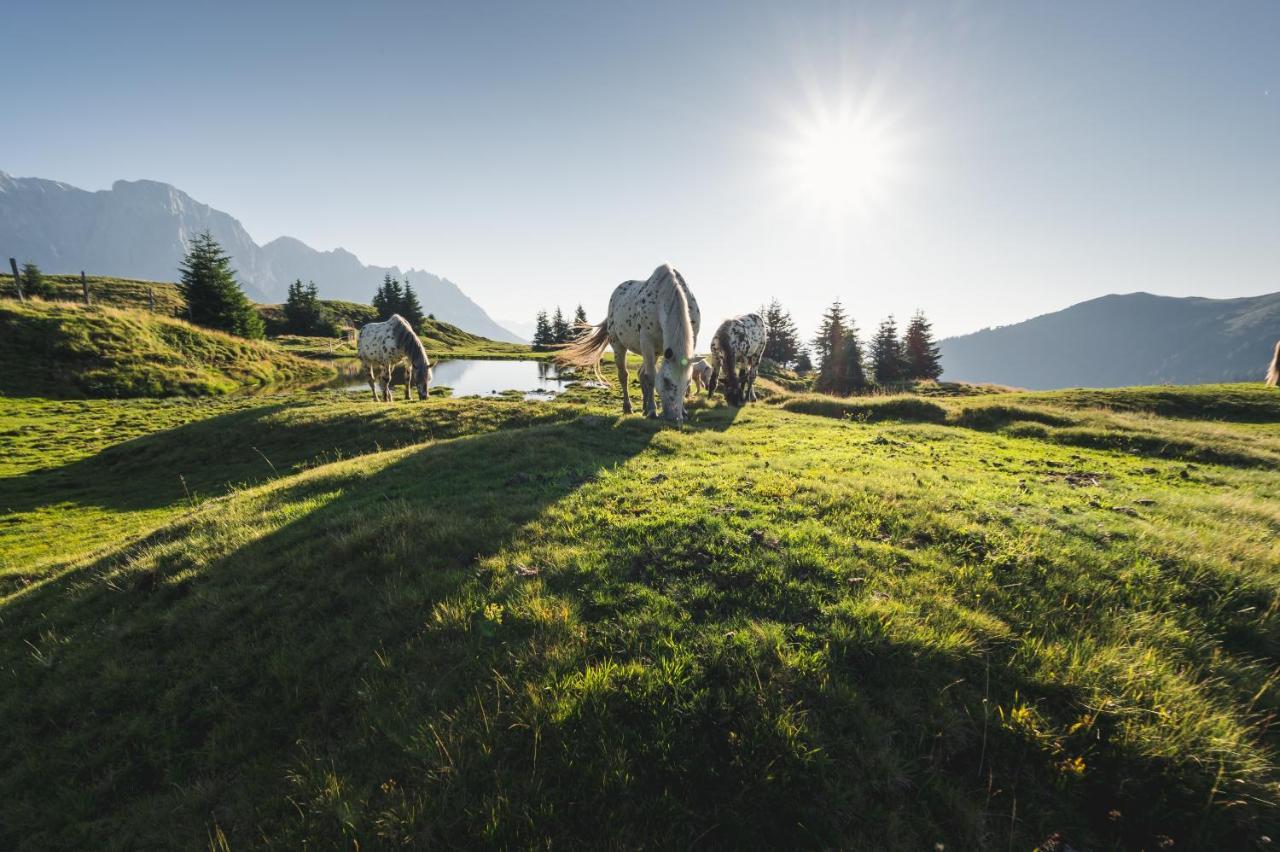霍克尼希阿尔卑斯公园酒店及公寓 Mühlbach am Hochkönig 外观 照片